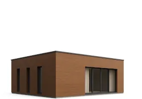 evolutionary vision of architecture